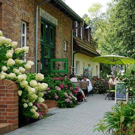 Ferienwohnung Grüner Wald Burg Kauper Exterior foto