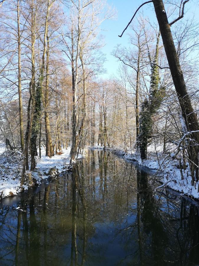 Ferienwohnung Grüner Wald Burg Kauper Exterior foto